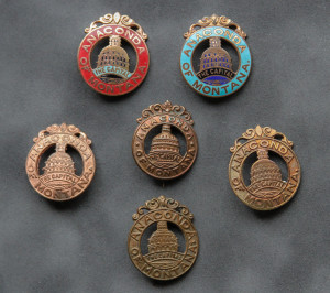 A set of six badges with different designs.